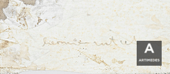 Hermann Nitsch / Ohne Titel - Sig